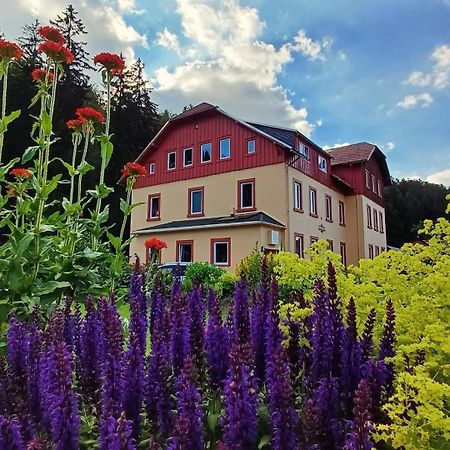 Haus Stefanie Elvire Altenberg Exterior foto