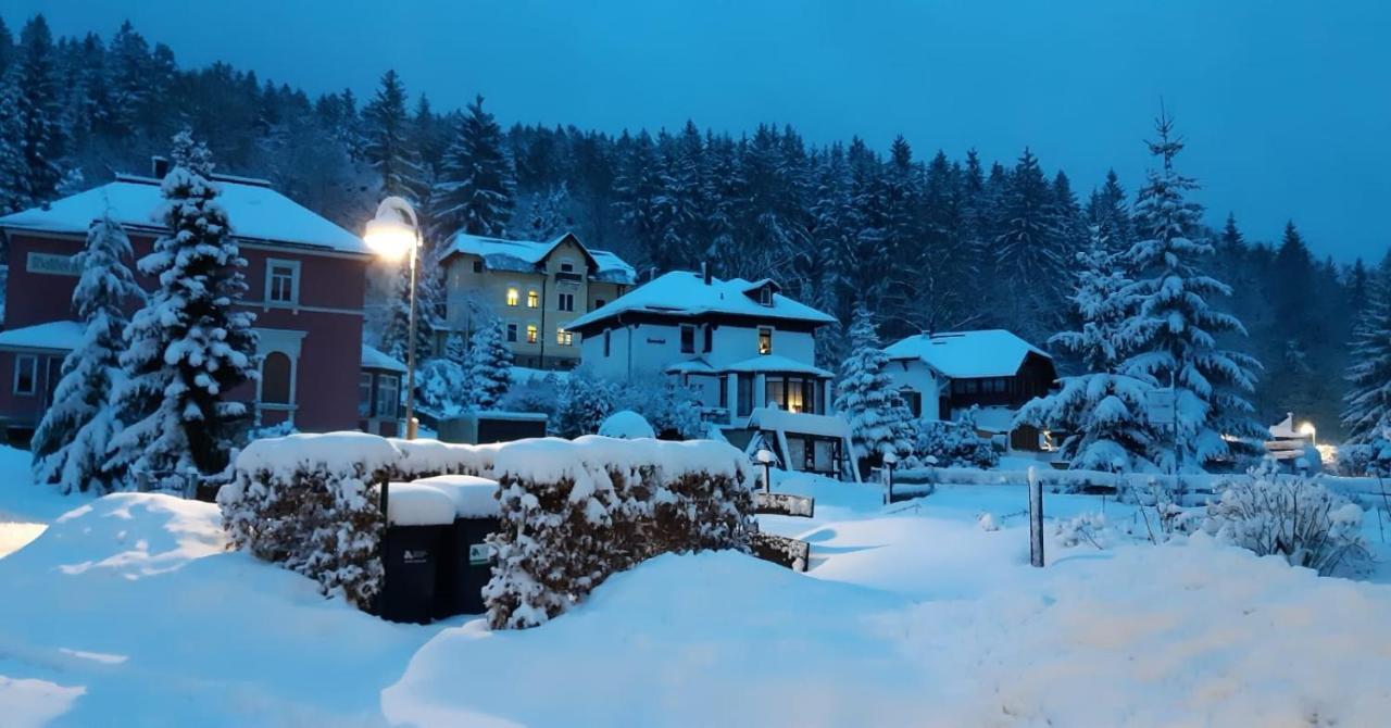Haus Stefanie Elvire Altenberg Exterior foto