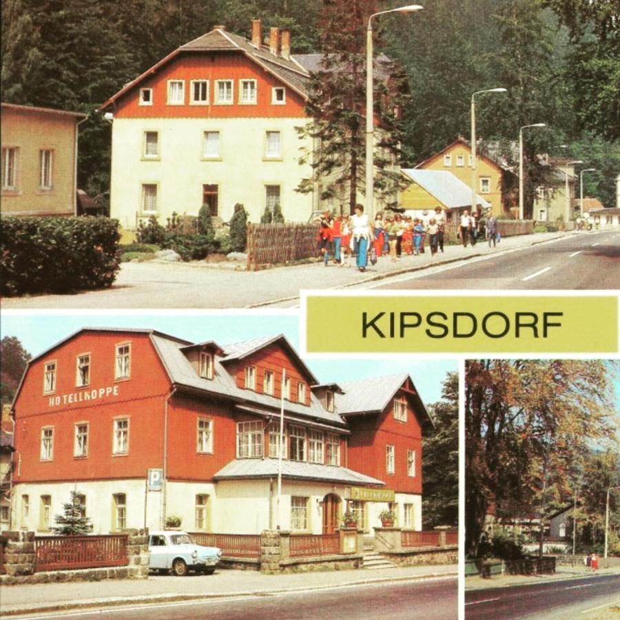 Haus Stefanie Elvire Altenberg Exterior foto